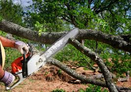 Best Utility Line Clearance  in Attla, AL